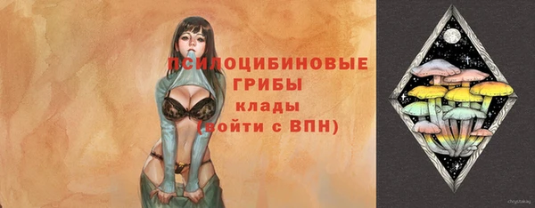 PSILOCYBIN Алзамай