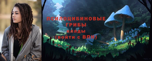 PSILOCYBIN Алзамай